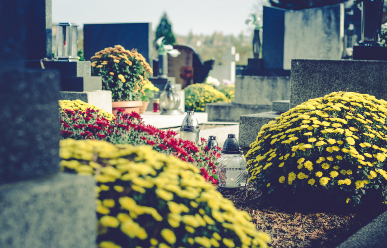 1 ноября всего несколько дней, поэтому стоит подумать, какие хризантемы выбрать для могил близких